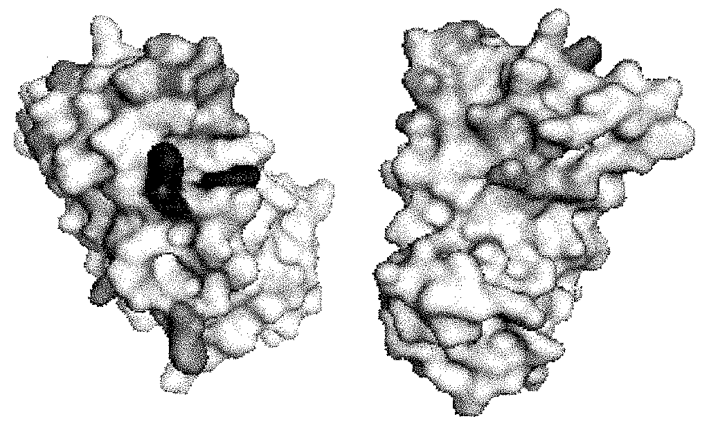 us10548895 20200204 d00000