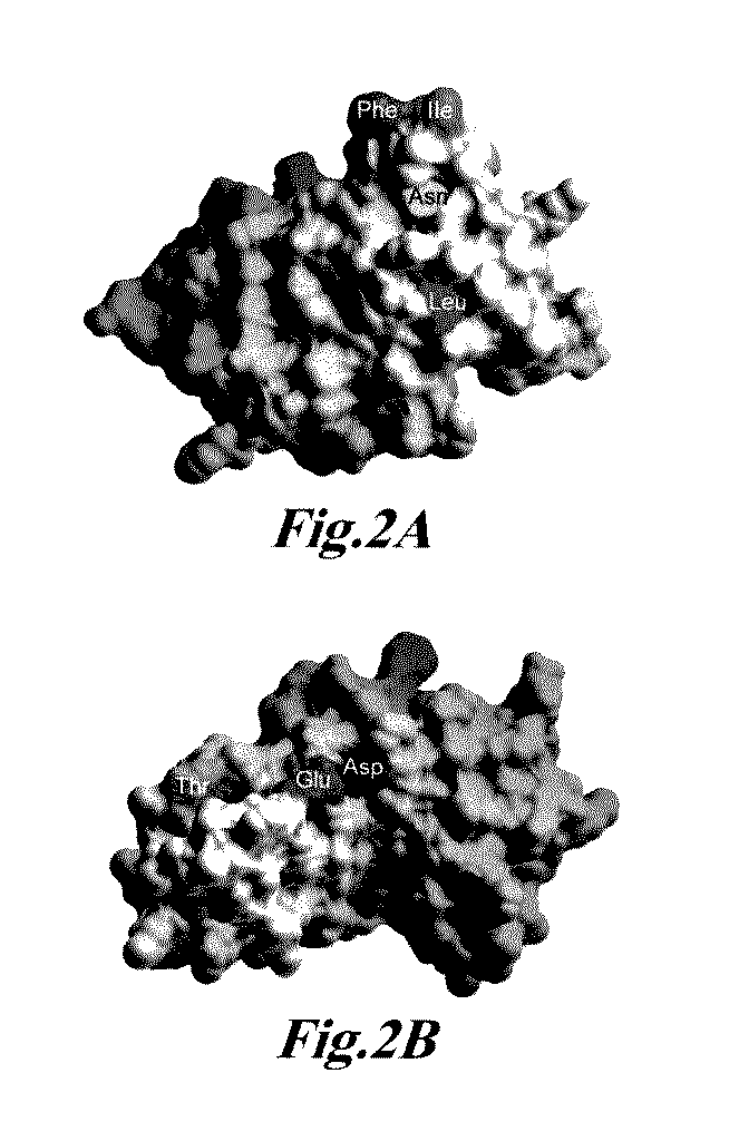 us20150328329a1 20151119 d00002