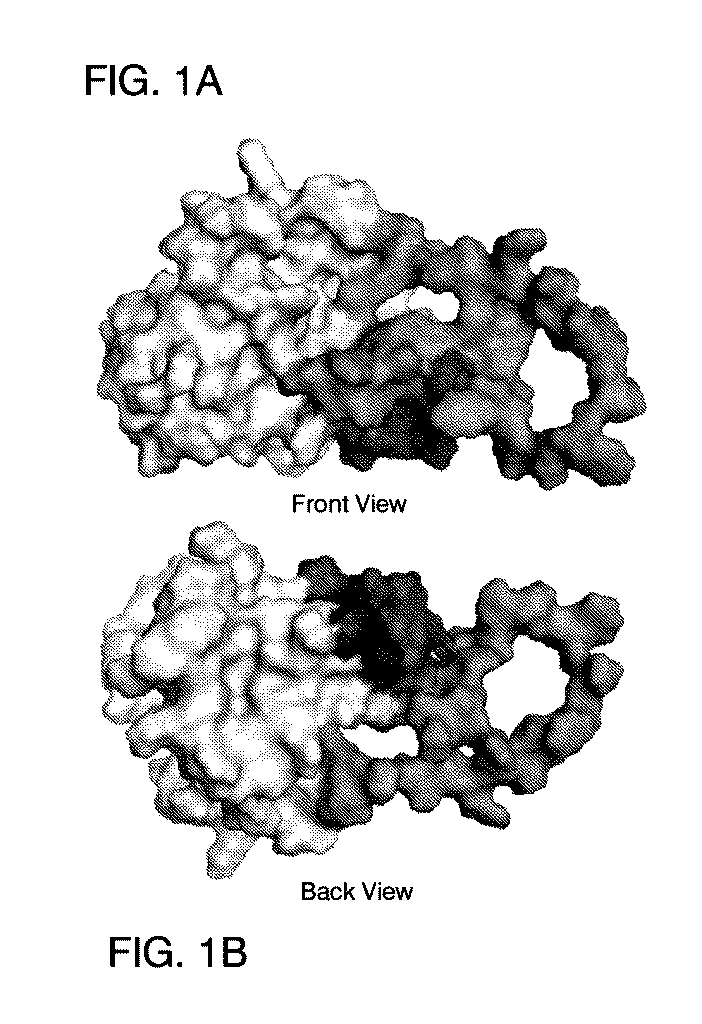 us20160361311a1 20161215 d00001
