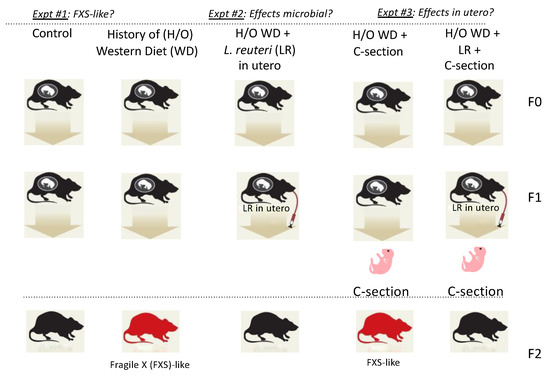 genes 13 01409 g001 550